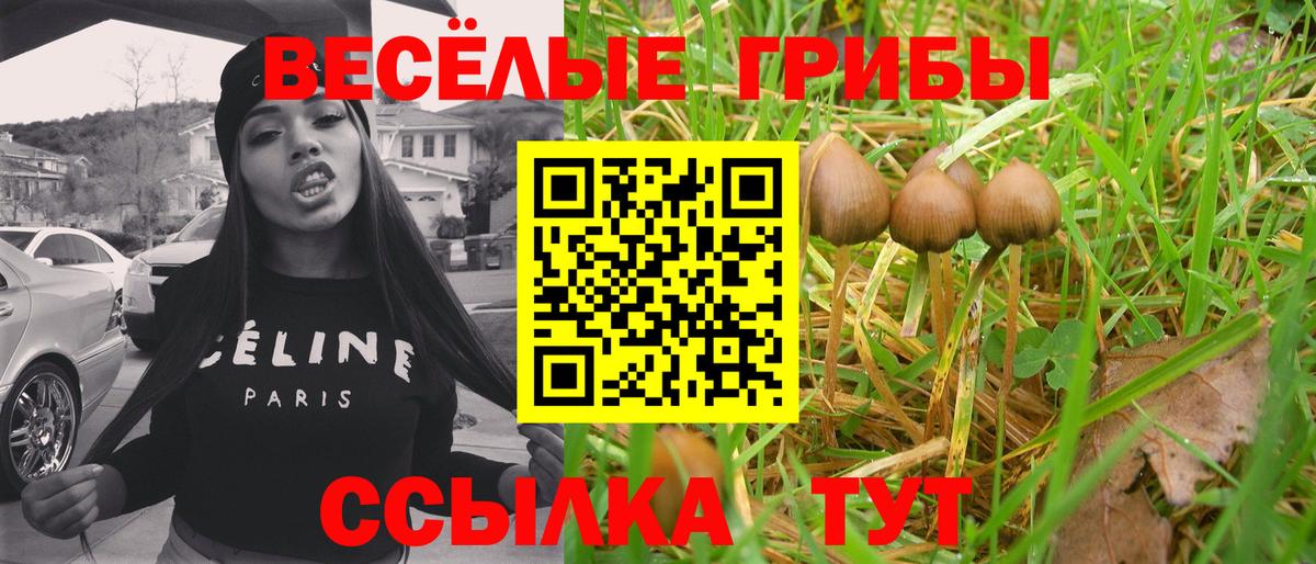 Галлюциногенные грибы мухоморы Домодедово